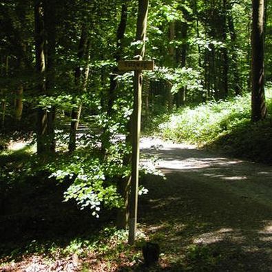 Salzweg Altstetterwald
