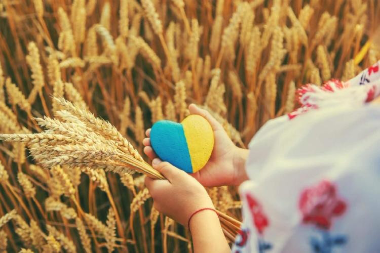 Herz in den Farben der Ukraine